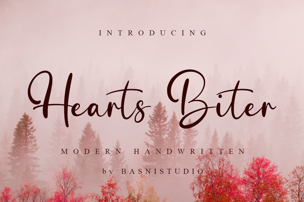Romantic Handwriting Bundle, a Handwritten Font by Basnistudio (Photo 15 of 25)