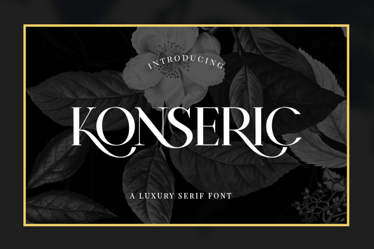 Konseric, a Serif Font by Picatype Studio (Photo 1 of 18)