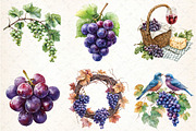 Watercolor Grape Clipart, an Illustration by DreamCafeArt (Thumbnail 3 of 7)