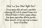 Lifestyle - Tail Swash Script Font, a Script Font by Airotype (Thumbnail 9 of 12)