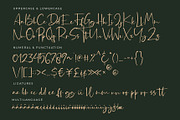 Desttina Font (New Update!), a Script Font by Awanstudio (Thumbnail 8 of 8)