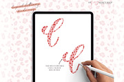 Procreate Leopard Texture Brushes, a Brush Add-On by My Fancy Design Shop (Thumbnail 2 of 10)