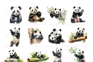 Watercolor Panda Clipart, Cute Panda