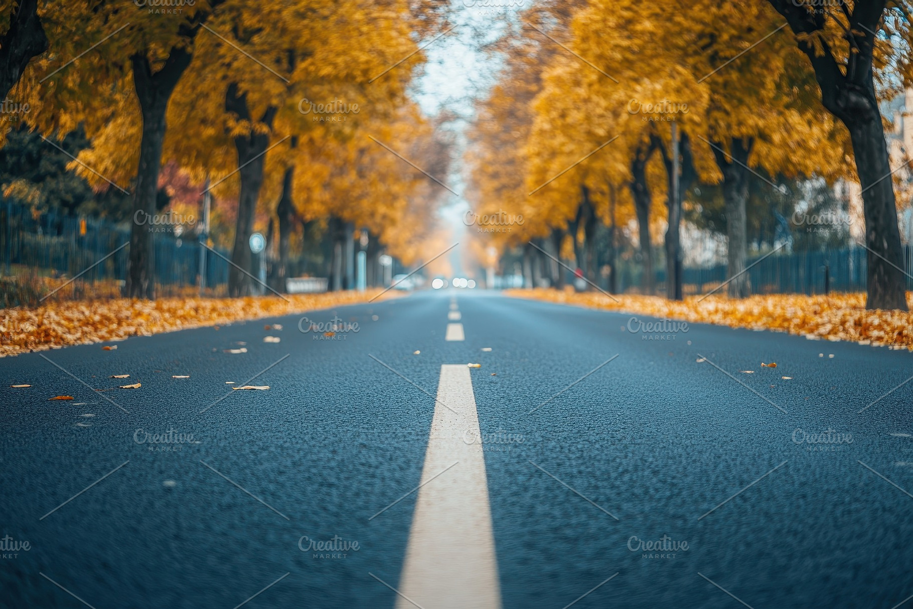 A quiet empty road winds through, a Photo by Pavel_design