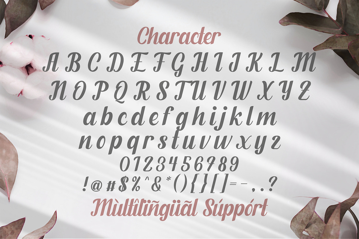 Fendysa - Calligraphy Font, a Script Font by StringLabs (Photo 13 of 14)