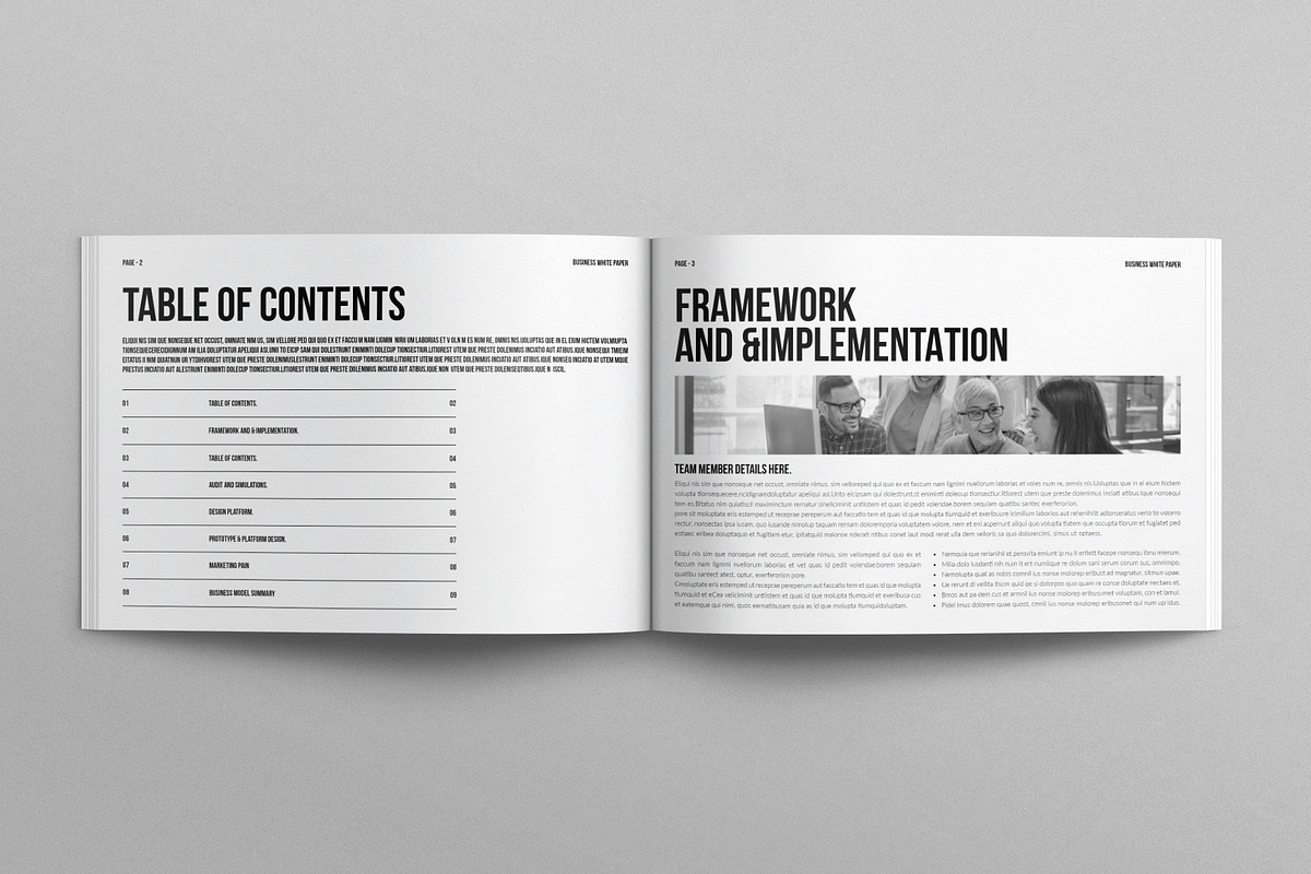 Business White Paper Landscape, a Brochure Template by E-Type (Photo 2 of 7)