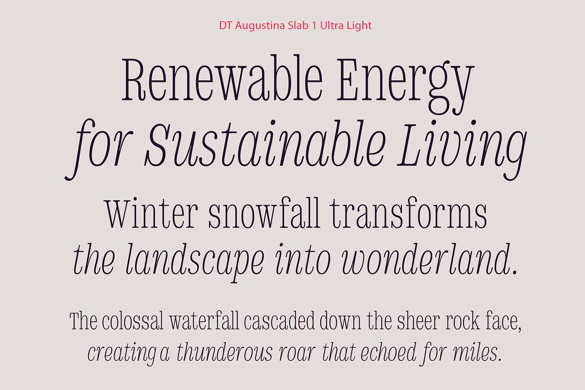 DT Augustina Slab 1 Subfamily, a Slab Serif Font by Deveze Type Foundry (Photo 4 of 31)