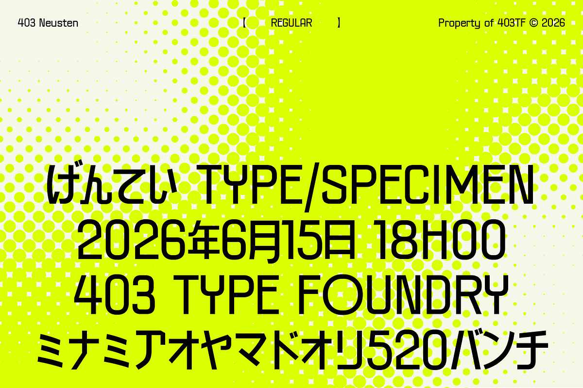 403 Neusten, a Sans Serif Font by 403 Type Foundry (Photo 2 of 16)