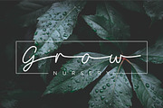 Daffodilias Monoline Script, a Script Font by INKMETHIS (Thumbnail 5 of 5)