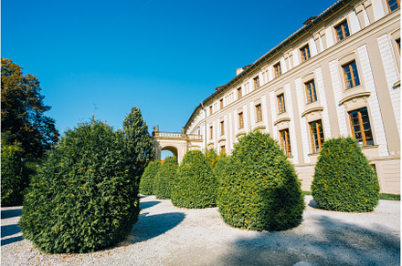 Courtyard with trimmed bushes near, an Architecture Photo by Our Amazing World