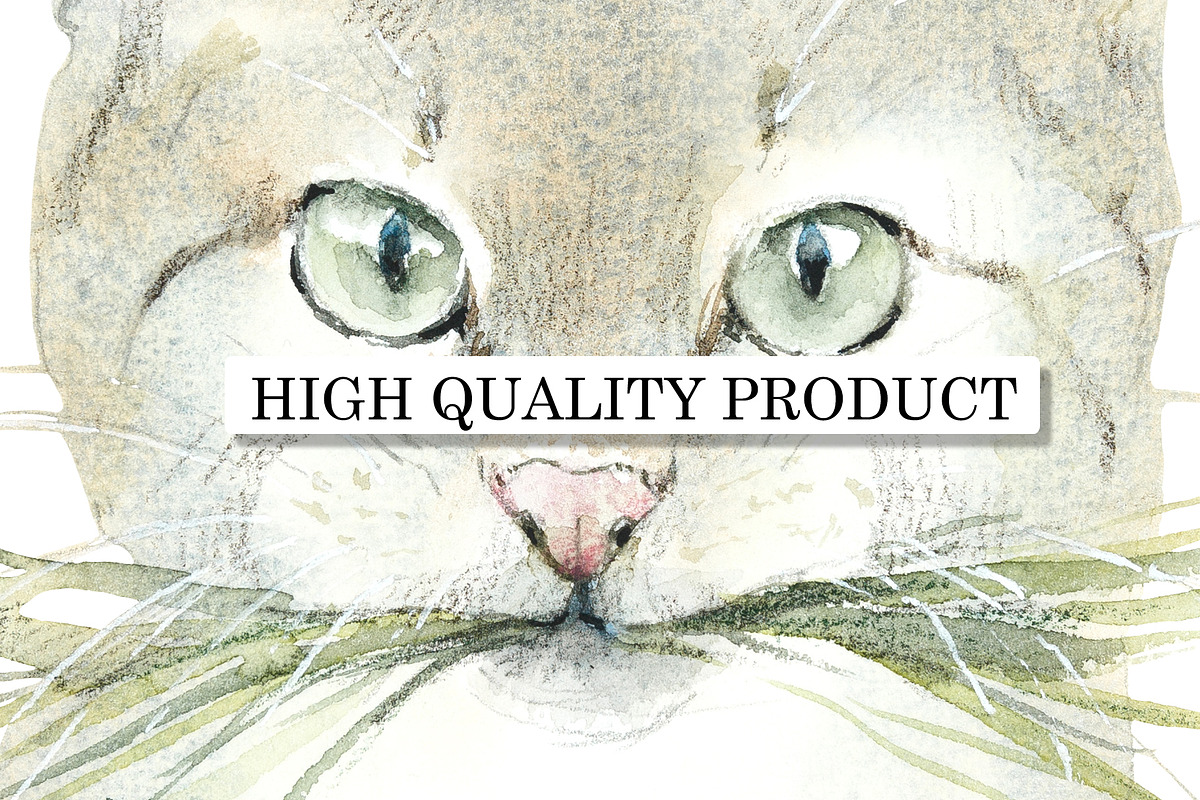 Street Cats, an Animal Illustration by Budogoshch (Photo 4 of 6)