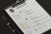 The Resume, a Resume Template by sz81 (Thumbnail 2 of 5)