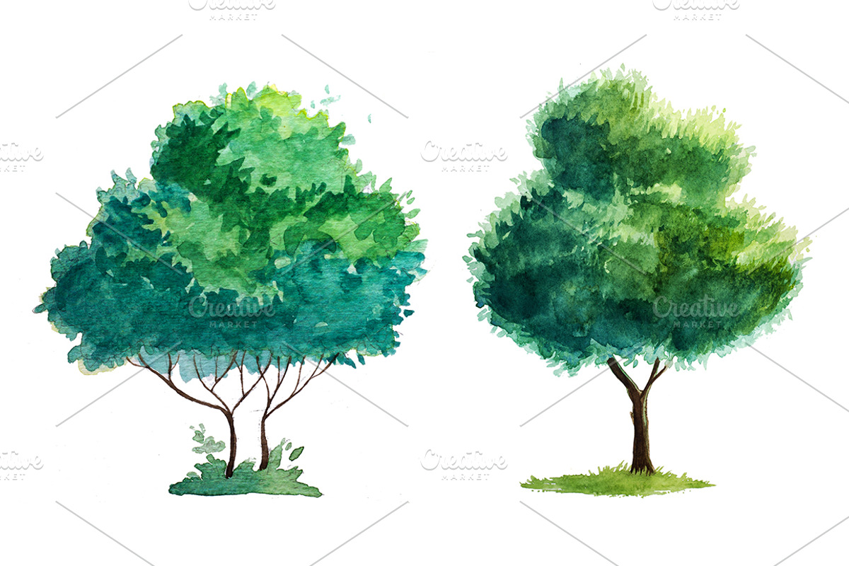 Watercolor Trees, an Illustration by AlexGreenArt (Photo 5 of 6)