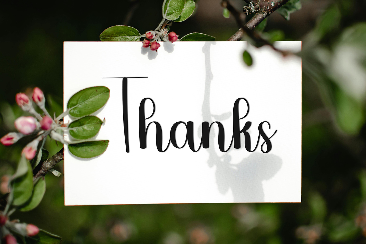 Monday Paradise, a Handwritten Font by FreshTypeINK (Photo 8 of 8)