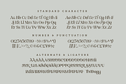 Nolans - Luxury Serif Typeface, a Serif Font by Annivers Type (Thumbnail 8 of 10)