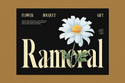 Karisma Elegant Serif Font, a Serif Font by Perfectype (Thumbnail 3 of 8)