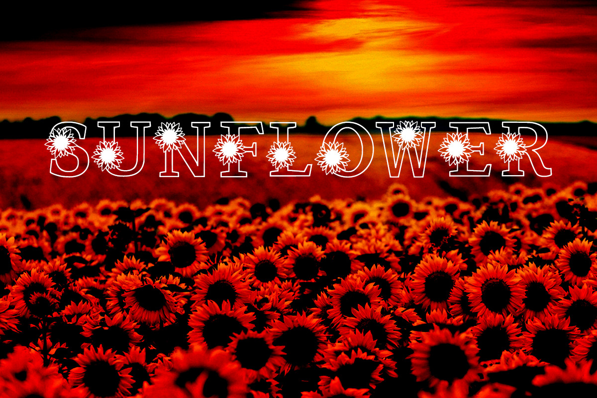 Sunflower Bright, a Font by Actual Pixel (Photo 5 of 7)