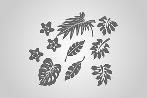 25 Tropical Designs Vector