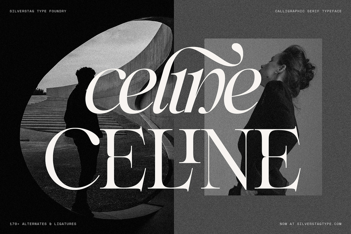 Netsera Calligraphic Serif Typeface, a Serif Font by SilverStag Type Foundry (Photo 4 of 30)