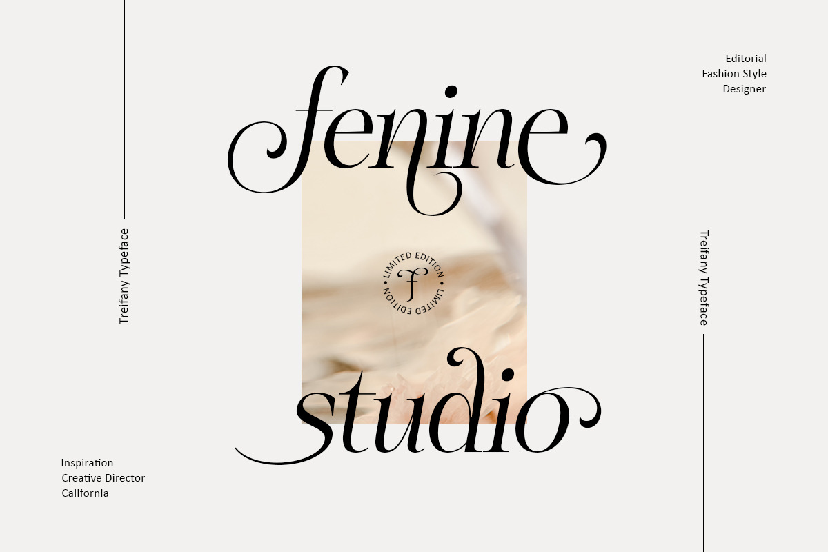 Treifany, a Serif Font by Attract Studio (Photo 6 of 20)