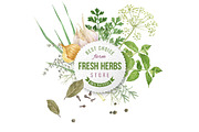 Herbs and spices watercolors, a Healthcare Illustration by handsketched (Thumbnail 3 of 6)