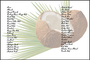 Nuts And Seeds Gradients