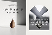 Gailanie // Stylish Ligature Font, a Serif Font by epicatype (Thumbnail 10 of 10)