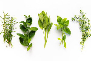 Fresh culinary herbs creating healthy cooking concept, a Food & Drink Photo by Olena Rudo