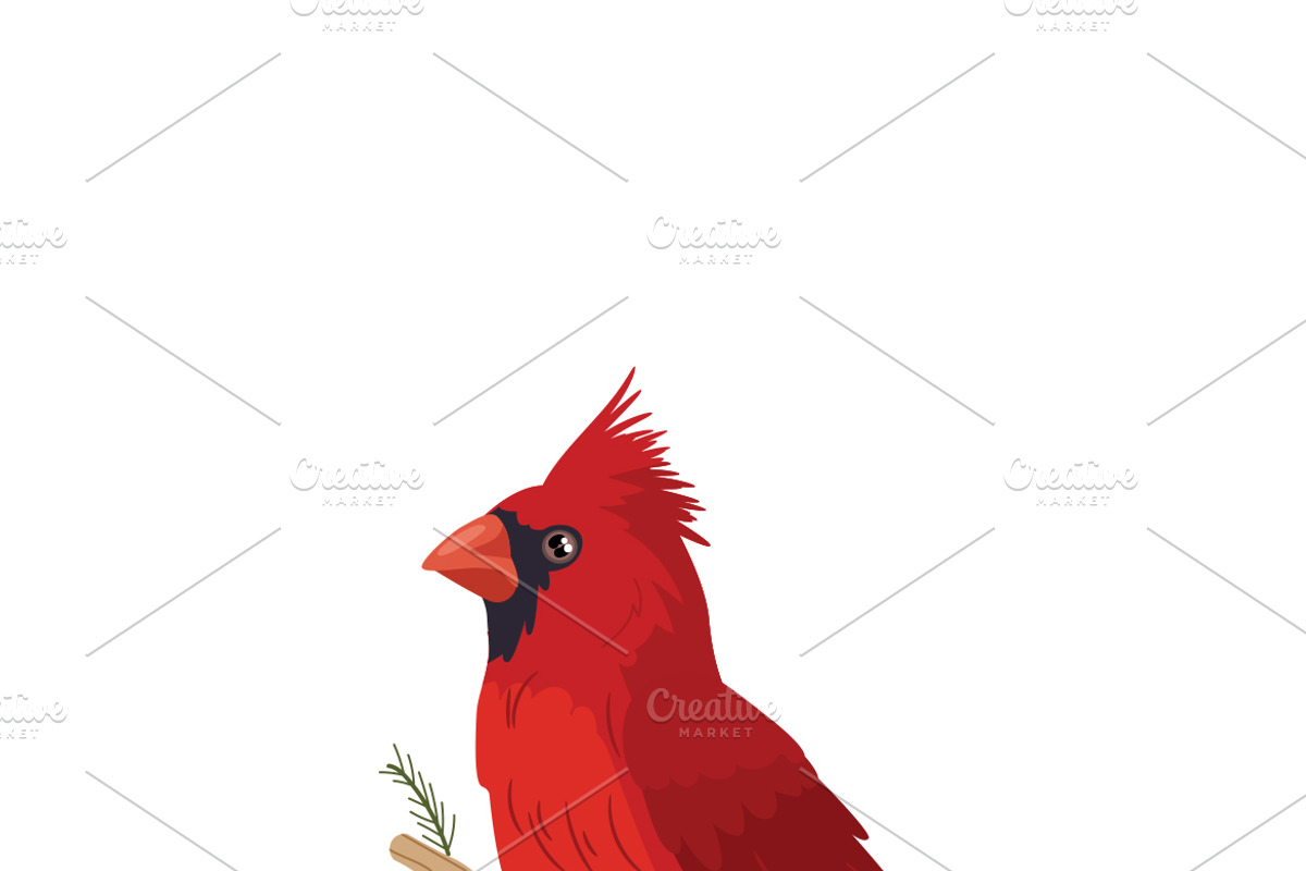 Hand Drawn Cardinal Illustration, an Animal Illustration by MISS CHATZ (Photo 2 of 3)