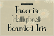 Fiore Dilona | Hand Drawn Vintage, a Font by Denustudios (Thumbnail 6 of 15)