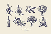 Vintage Olive Hand Drawn Collection, a Food Illustration by Elena Pimonova (Thumbnail 2 of 5)