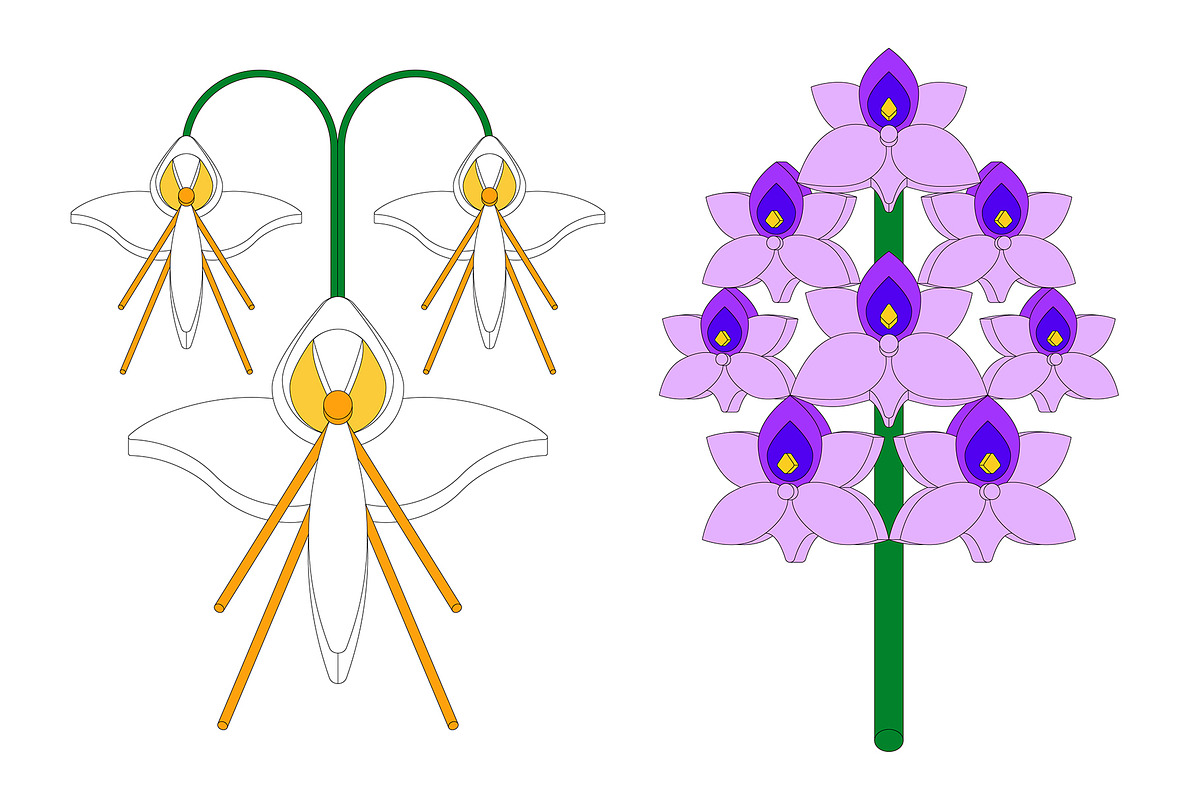 REASSEMBLED FLORA, a Decorative Illustration by HaiHoa (Photo 3 of 7)