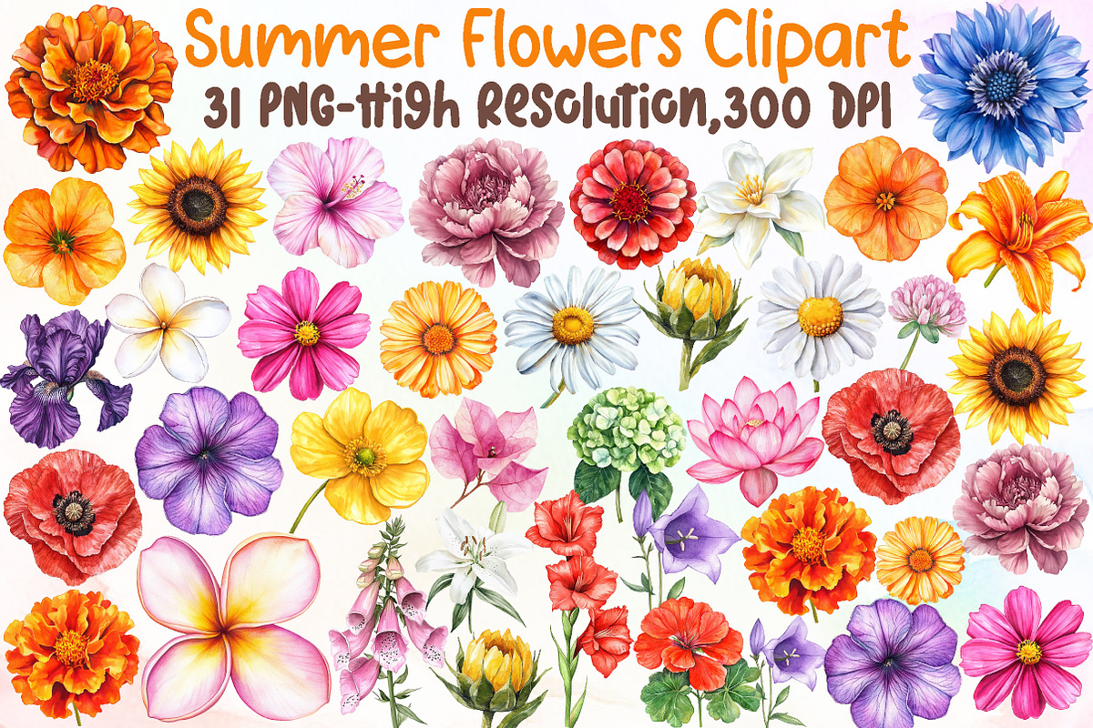 Watercolor Summer Flowers Clipart, an Illustration by Sublimation Artist (Photo 1 of 6)