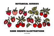 Hand Drawn BOTANICAL BERRIES, an Object Graphic by Artflorara (Thumbnail 3 of 9)