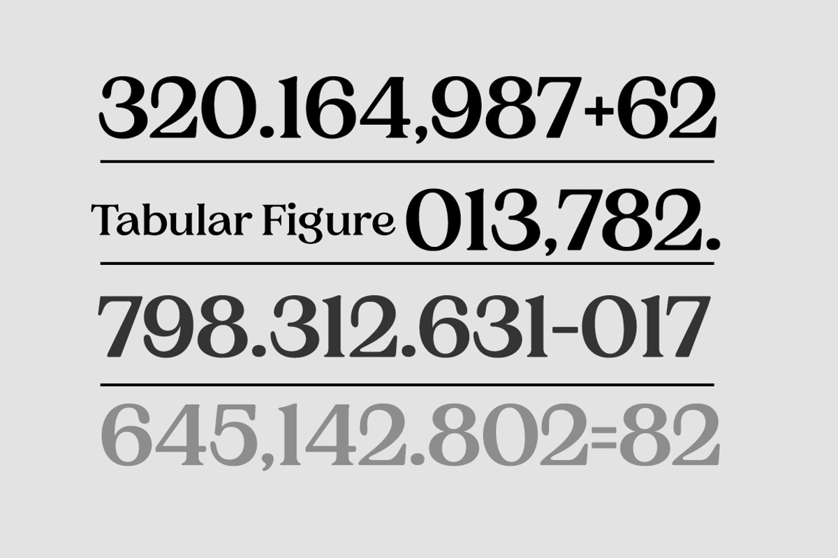 Charman Serif Font Family, a Serif Font by Propertype (Photo 9 of 13)