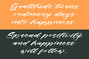 History Kindes Modern Calligraphy, a Script Font by stylishtype.co (Thumbnail 12 of 20)