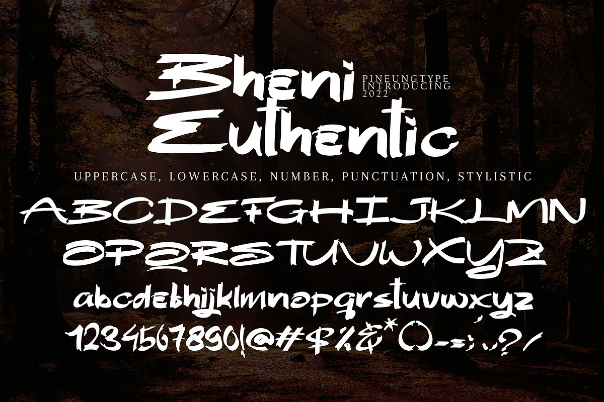 Bheni Euthentic, a Script Font by pineungtype (Photo 7 of 7)
