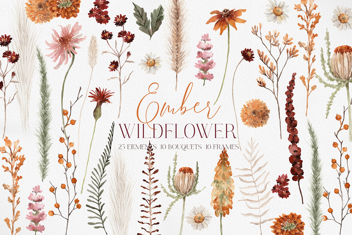 Watercolor Flower - EMBER WILDFLOWER, an Illustration by Beigetime (Photo 1 of 14)