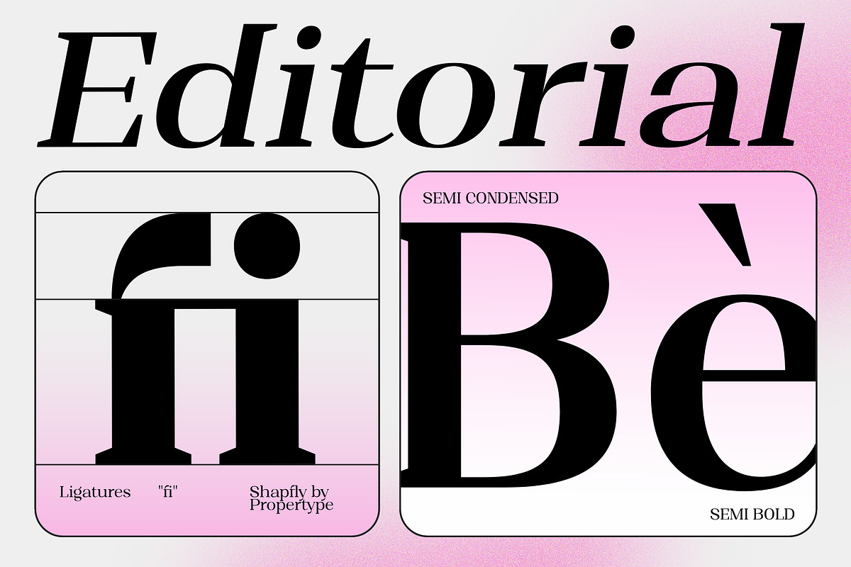 Shapfly, a Serif Font by Propertype (Photo 9 of 15)