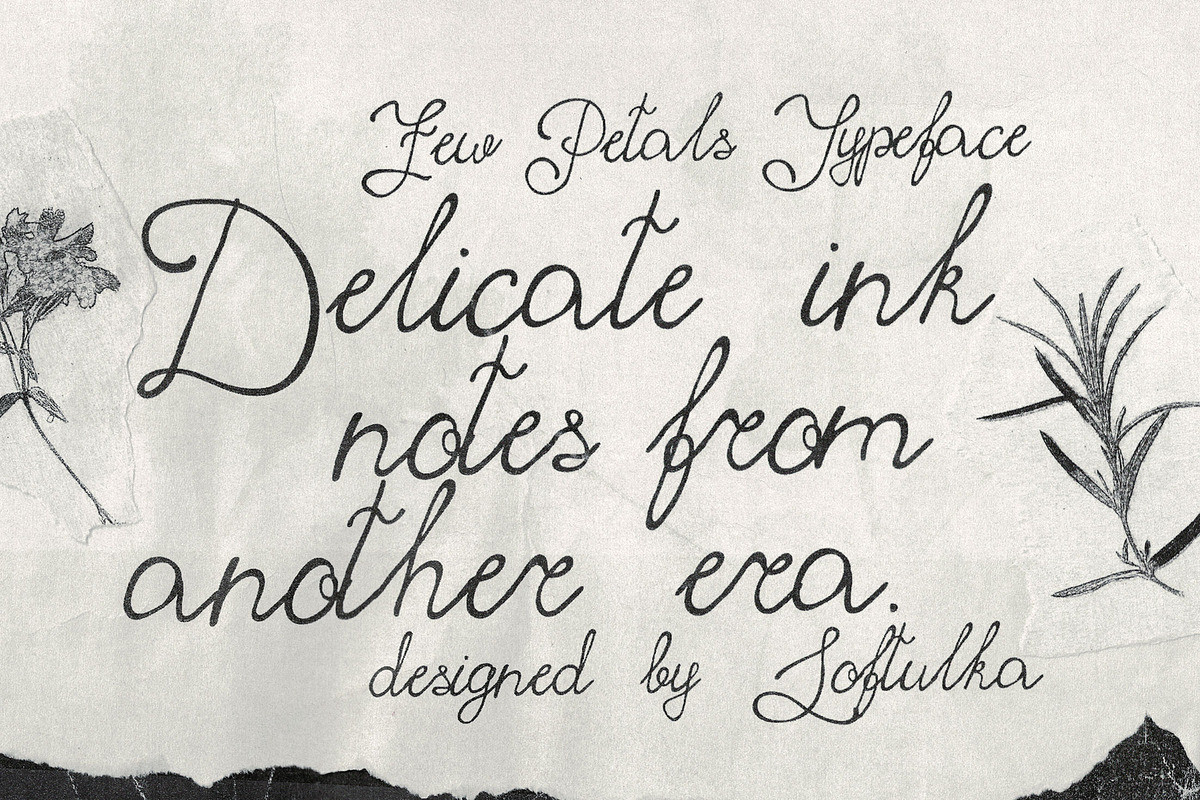 Few Petals. Dreamy Script Typeface, a Script Font by softulka (Photo 3 of 7)