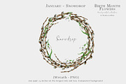 Snowdrop Birth Month Flower Clipart, an Illustration by Ksenia Shmakova (Thumbnail 8 of 9)