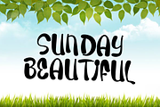 Dream Wedding, a Script Font by FreshTypeINK (Thumbnail 3 of 8)