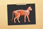 Vector Animal Skeletons Set, a Graphic by Catty Studio (Thumbnail 6 of 6)