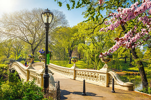 Central park at spring new york stock photo containing central park and park