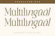Seraphine Modern Font Serif, a Serif Font by Letterena Studios (Thumbnail 12 of 15)