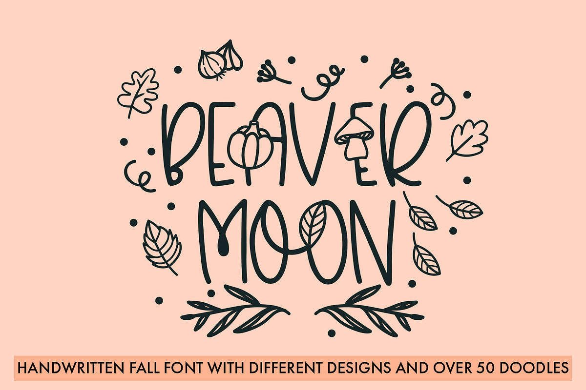 Beaver Moon - Fall Font With Doodles, a Handwritten Font by Freeling Design House (Photo 1 of 8)