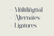 Paradizo - Elegant Serif Font, a Serif Font by Surplus Type Co (Thumbnail 3 of 8)