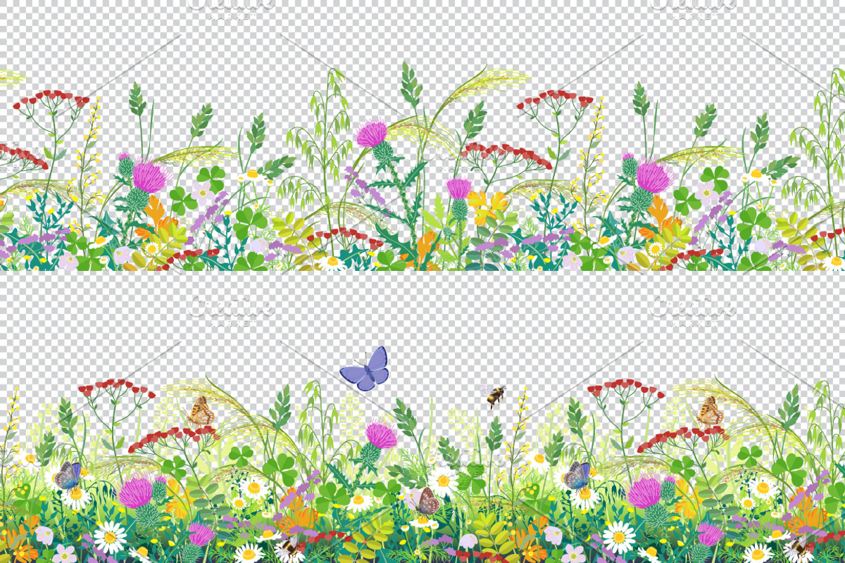 Summer Meadow Plants  and Insects, a Decorative Illustration by Valentyna Smordova (Photo 4 of 4)