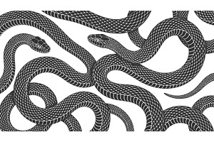 Snake Pattern Detailed Reptile, an Animal Illustration by AlexArt