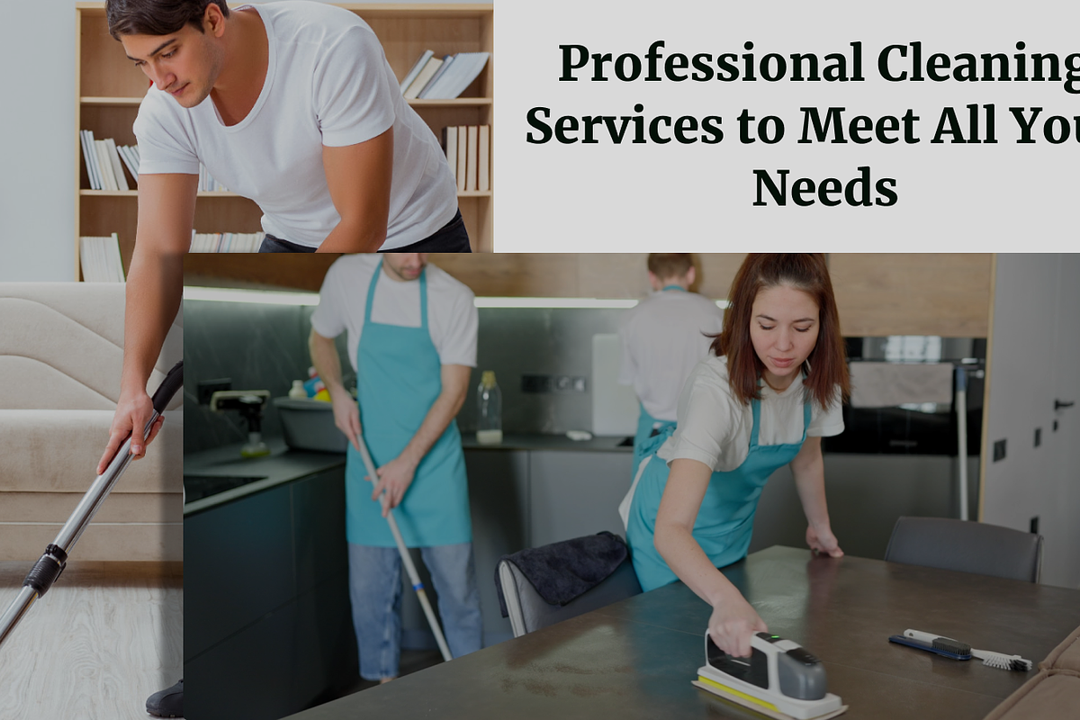 CLEANEX - Cleaning Services Template preview 3